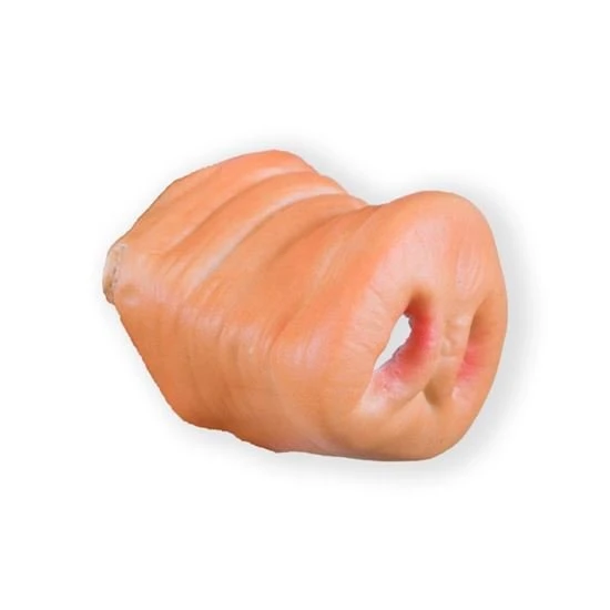 Dierenneus Varken 1 Dierenneus Varken