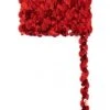 Paillettenband Golvend Rood 3 Meter