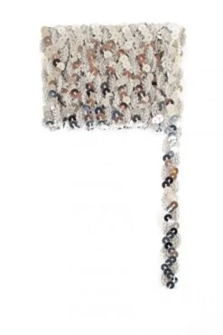 Paillettenband Golvend Zilver 3 Meter