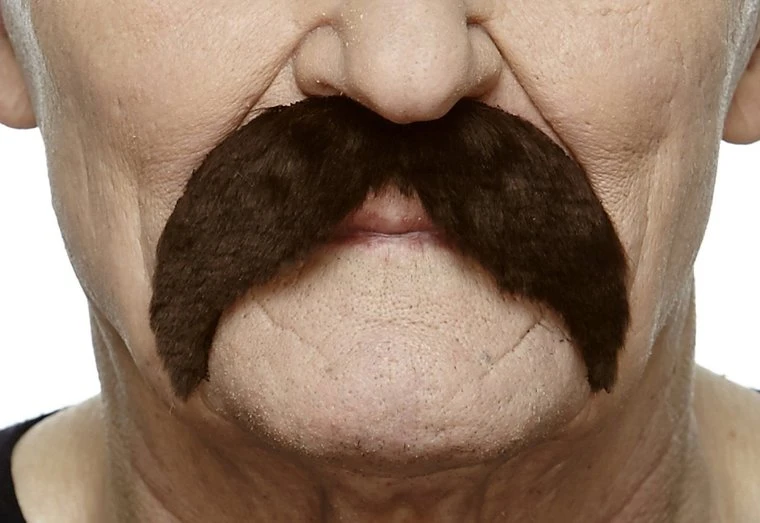 Snor Wally Bruin 1 Snor Wally Bruin