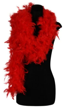 Boa Rood 50 Gram 180 Cm