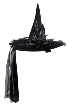 Heksenhoed Luxe Zwart Met Roos