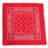 Zakdoek Rood Met Motief