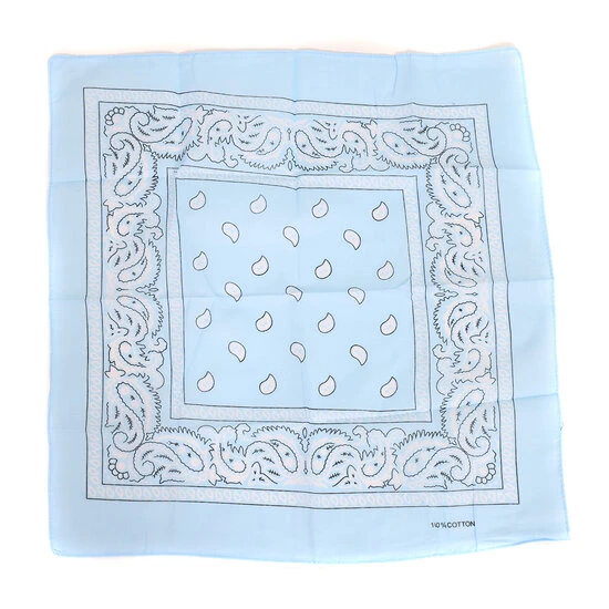 Zakdoek Lichtblauw Met Motief 1 Zakdoek Lichtblauw Met Motief