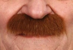 Snor Mustafa Bruin Zelfklevend