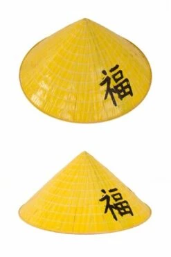 Chinese Stro Hoed Geel Kinderen