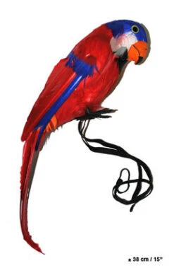 Papegaai 35 Cm
