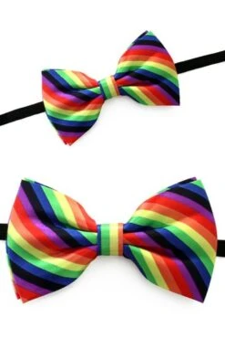 Vlinderstrikje Regenboog